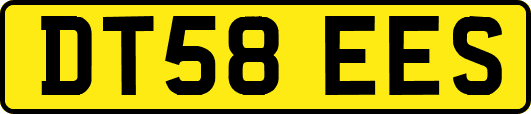 DT58EES