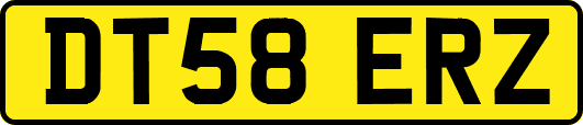 DT58ERZ