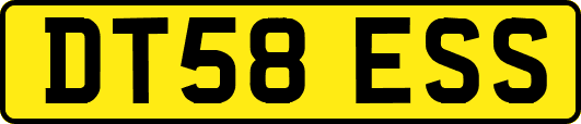 DT58ESS
