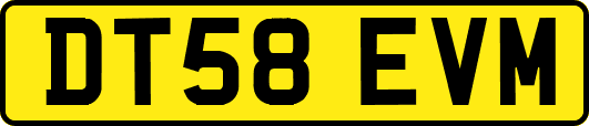 DT58EVM