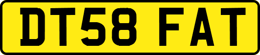 DT58FAT