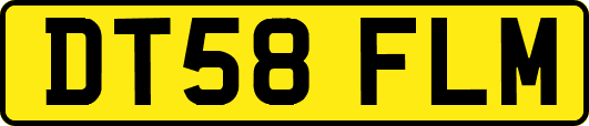 DT58FLM