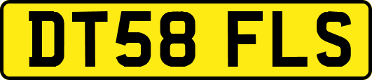 DT58FLS