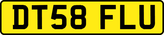DT58FLU