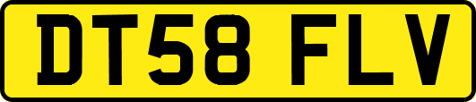 DT58FLV