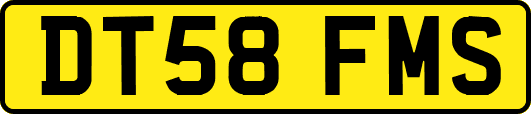 DT58FMS