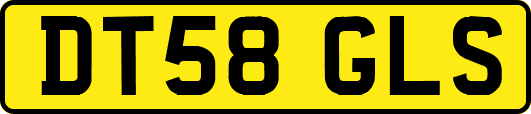 DT58GLS