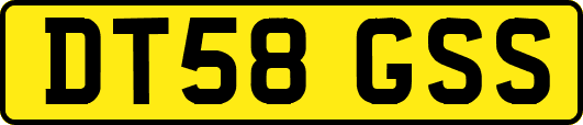 DT58GSS