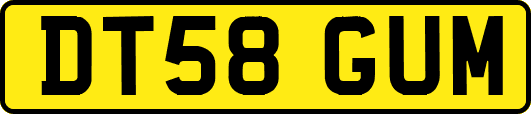 DT58GUM