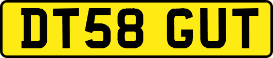 DT58GUT