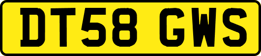 DT58GWS