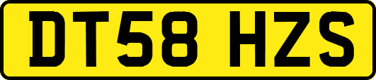 DT58HZS