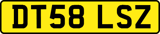 DT58LSZ