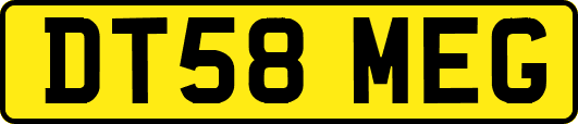 DT58MEG