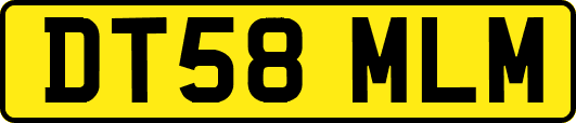 DT58MLM