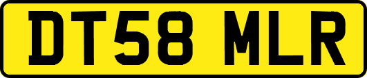 DT58MLR