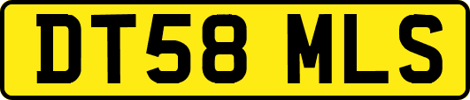DT58MLS
