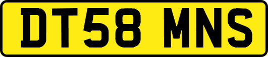 DT58MNS