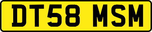 DT58MSM