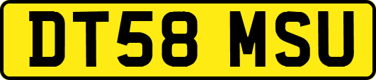 DT58MSU