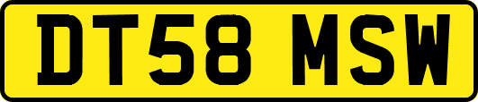 DT58MSW