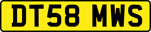 DT58MWS