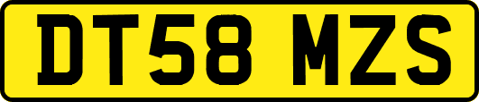 DT58MZS