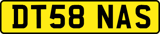 DT58NAS