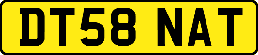 DT58NAT