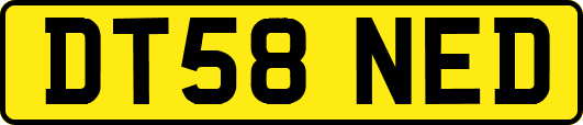DT58NED