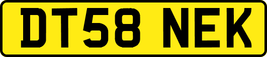 DT58NEK
