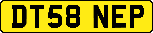 DT58NEP