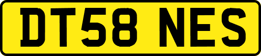 DT58NES