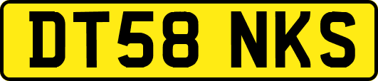 DT58NKS
