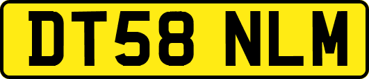 DT58NLM