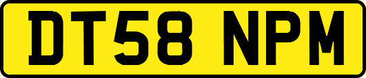 DT58NPM