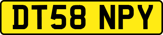 DT58NPY