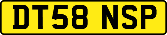 DT58NSP