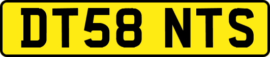 DT58NTS