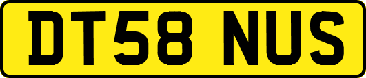 DT58NUS