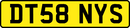 DT58NYS