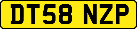 DT58NZP