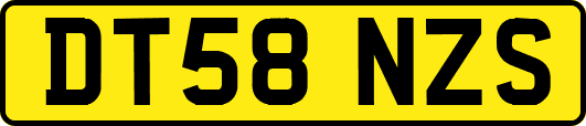 DT58NZS