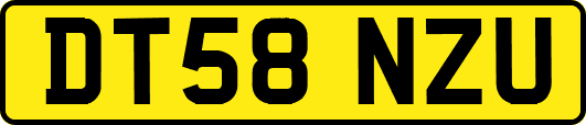 DT58NZU