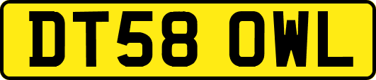 DT58OWL
