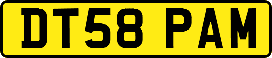 DT58PAM