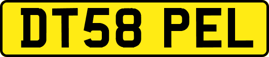 DT58PEL