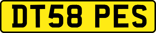 DT58PES
