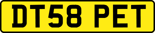 DT58PET