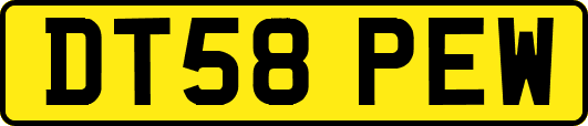 DT58PEW